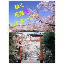美穂