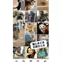 紫音