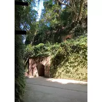 はな