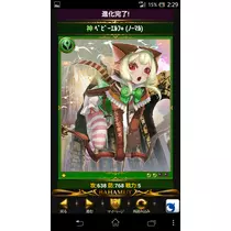 七星 夏純