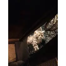 ゆかり