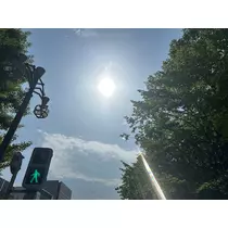 桜乃 なつ