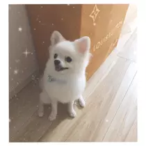 愛音 なぎさ
