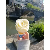 美涼