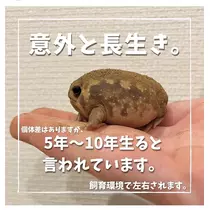 みき