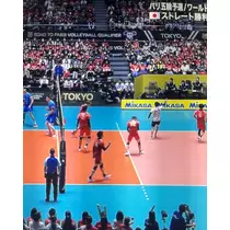 緑 四葉