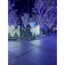 ねお