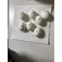 はるか