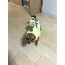 ユカ