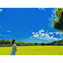 ゆかり