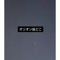 紫音
