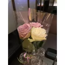 白石 愛莉
