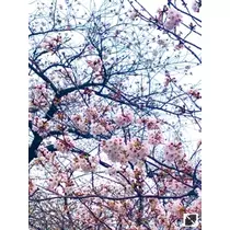 優月 あや菜