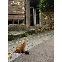 ナナ