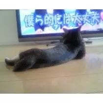 愛羽 仁美