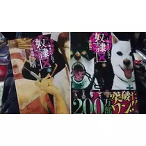 七星 夏純