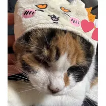 ほのか