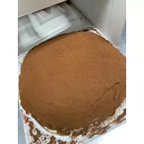 白石 愛莉