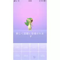 あみ