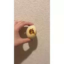 さつき