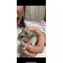 あんな