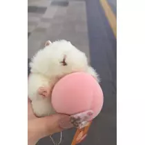 桜井 ここみ