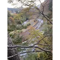 愛羽 仁美