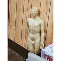 紫音