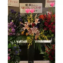 白石 愛莉