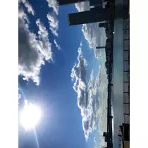 りん