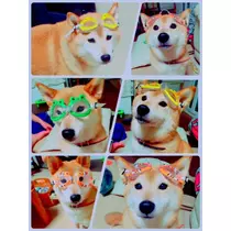 もも