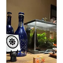 ひな