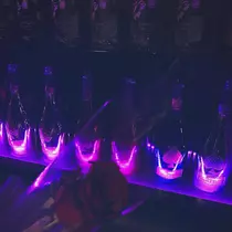 綾波 れい