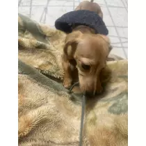 みづき