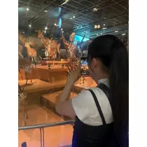 さゆ