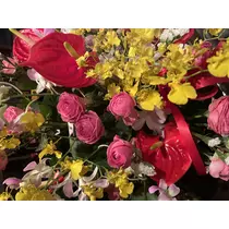 ゆう