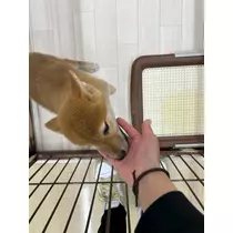 りおな