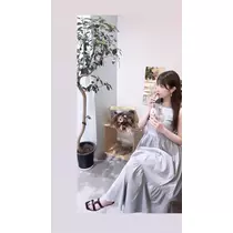 夢乃 サラ