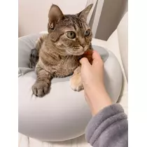 華宮 れい