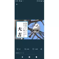 ひな