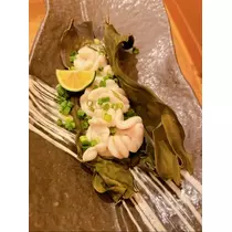 宝條 夏恋