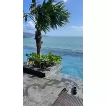 るい