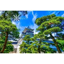 神崎 唯