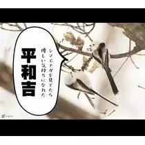 ひな