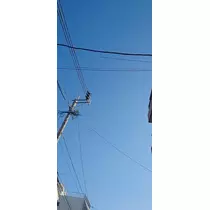 千兎 ちひろ