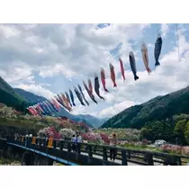 未来