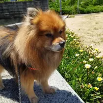‪✝︎ ほのか ‪✝︎