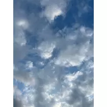 きょう