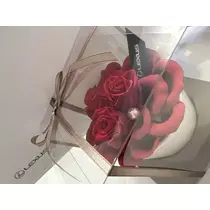 妃咲 れいか