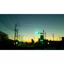 桜井 ゆき